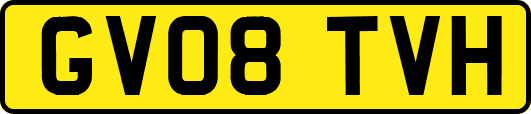 GV08TVH