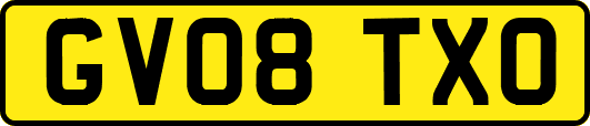 GV08TXO