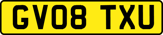 GV08TXU