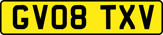 GV08TXV