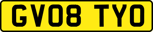 GV08TYO