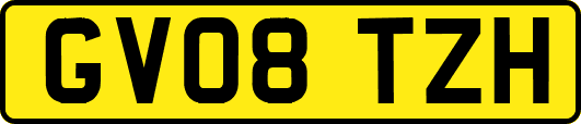 GV08TZH