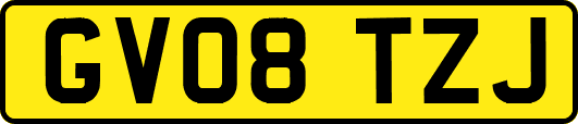 GV08TZJ