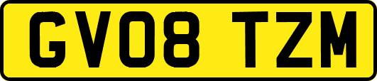 GV08TZM