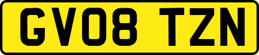 GV08TZN