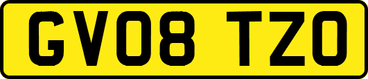 GV08TZO