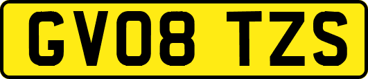 GV08TZS