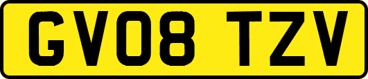 GV08TZV
