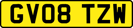 GV08TZW