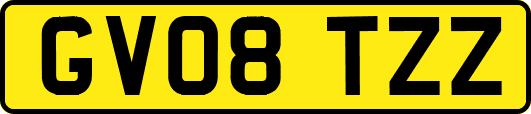 GV08TZZ