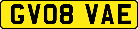 GV08VAE