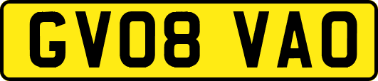 GV08VAO