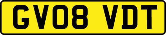 GV08VDT