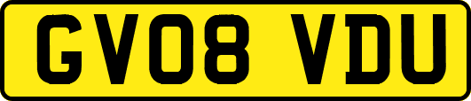 GV08VDU