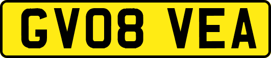 GV08VEA