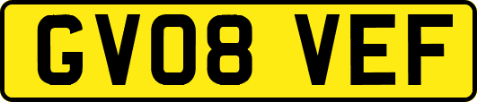 GV08VEF