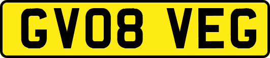 GV08VEG