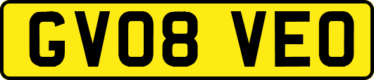 GV08VEO