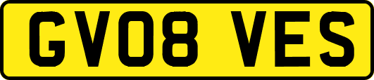 GV08VES