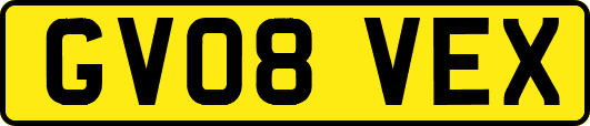 GV08VEX