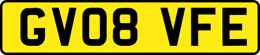 GV08VFE