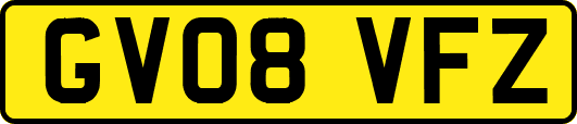 GV08VFZ