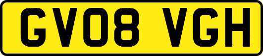 GV08VGH