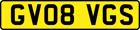 GV08VGS