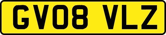 GV08VLZ