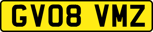 GV08VMZ