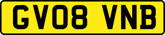 GV08VNB