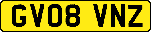 GV08VNZ