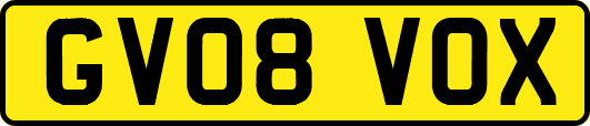GV08VOX