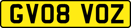 GV08VOZ