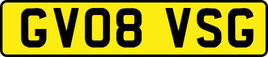 GV08VSG