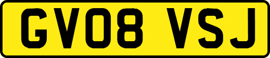 GV08VSJ