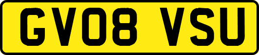 GV08VSU