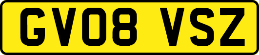 GV08VSZ
