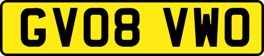 GV08VWO