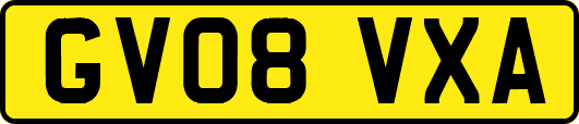 GV08VXA