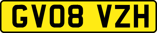 GV08VZH