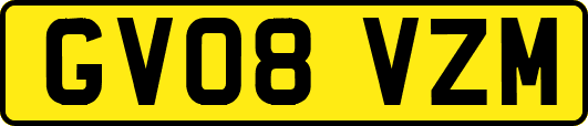 GV08VZM