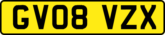 GV08VZX
