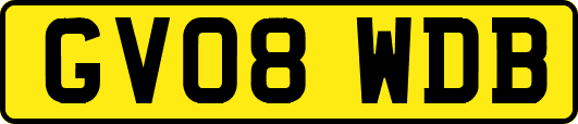 GV08WDB