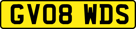 GV08WDS