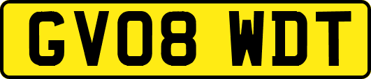 GV08WDT