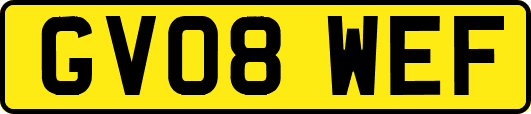 GV08WEF