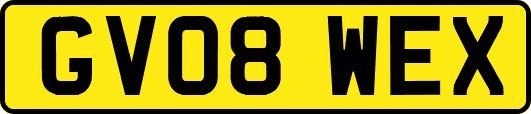 GV08WEX