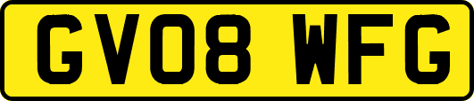 GV08WFG