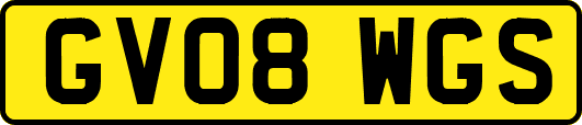 GV08WGS